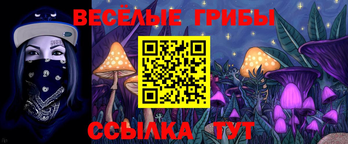 Галлюциногенные грибы Psilocybe Владикавказ