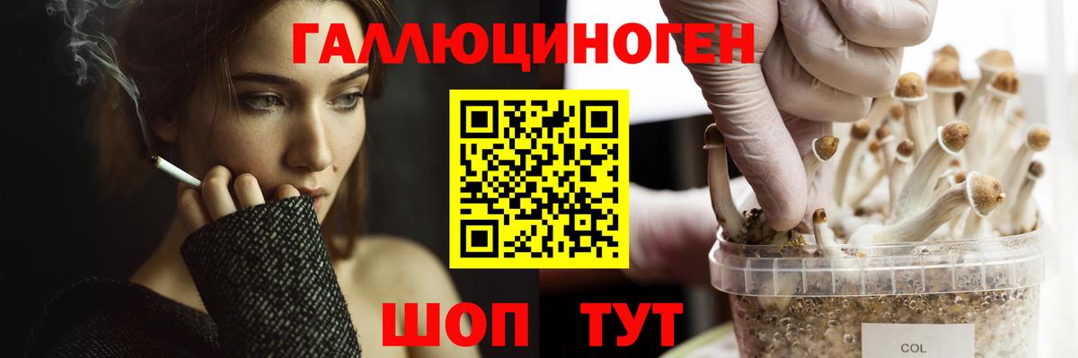 Галлюциногенные грибы мицелий  Вход с VPN  Владикавказ  Галлюциногенные грибы мухоморы 